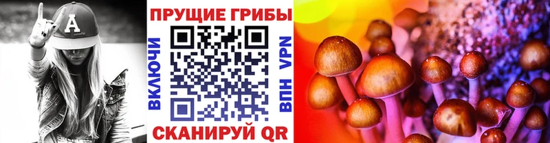 закладка  Ливны  Псилоцибиновые грибы мухоморы 